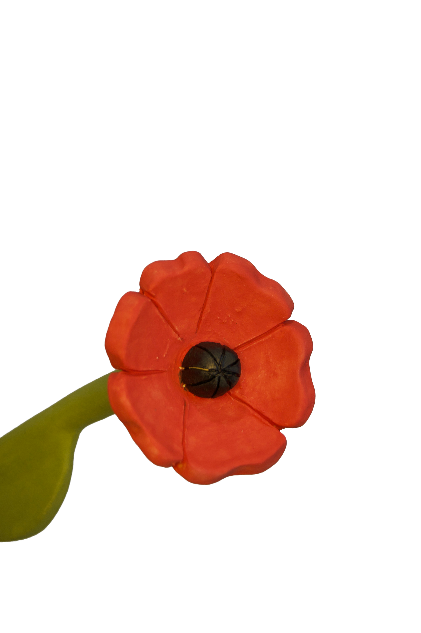 Anemone Flower