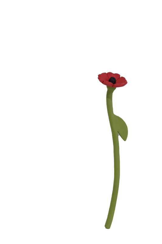 Anemone Flower