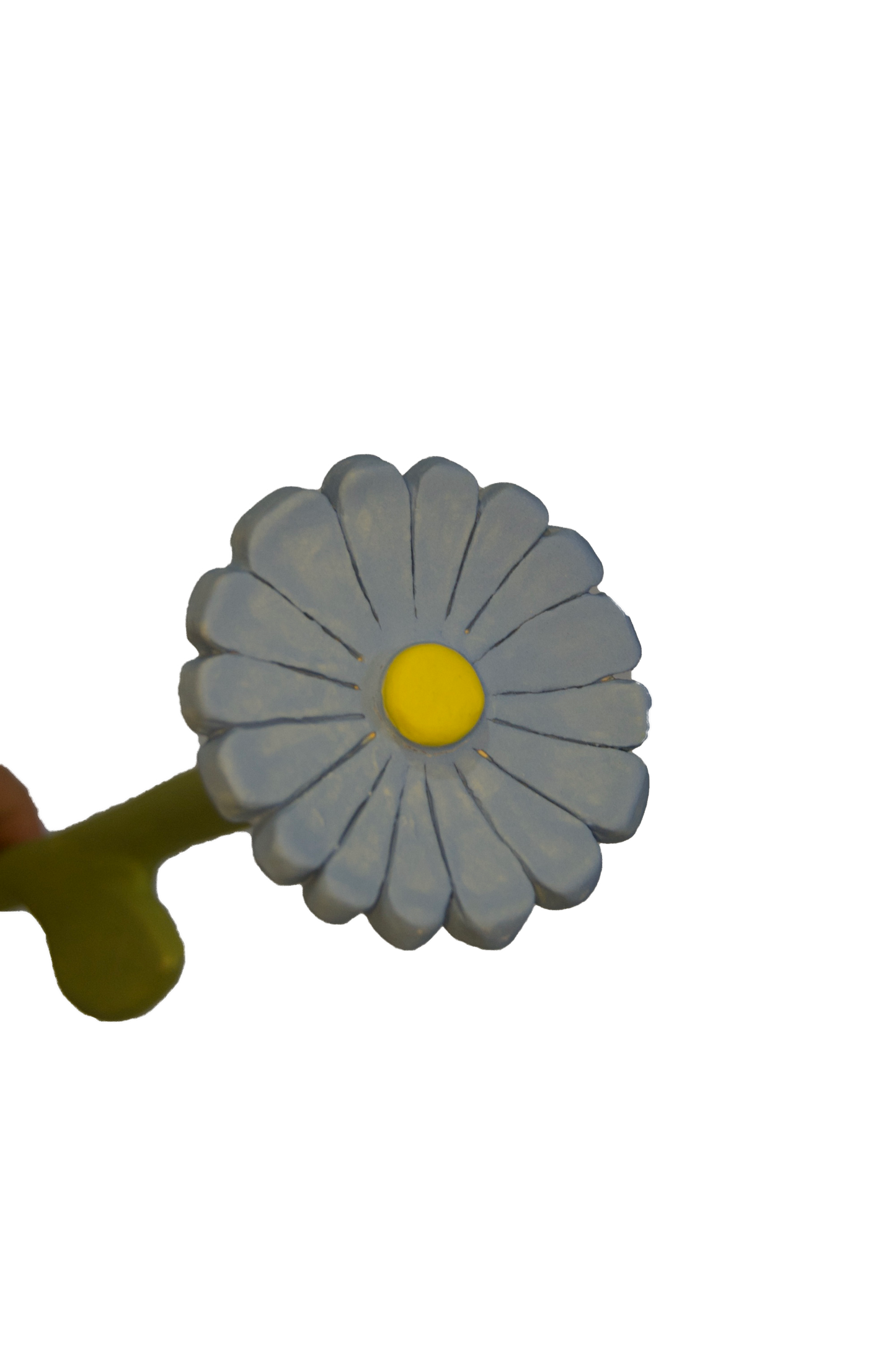 Daisy Flower
