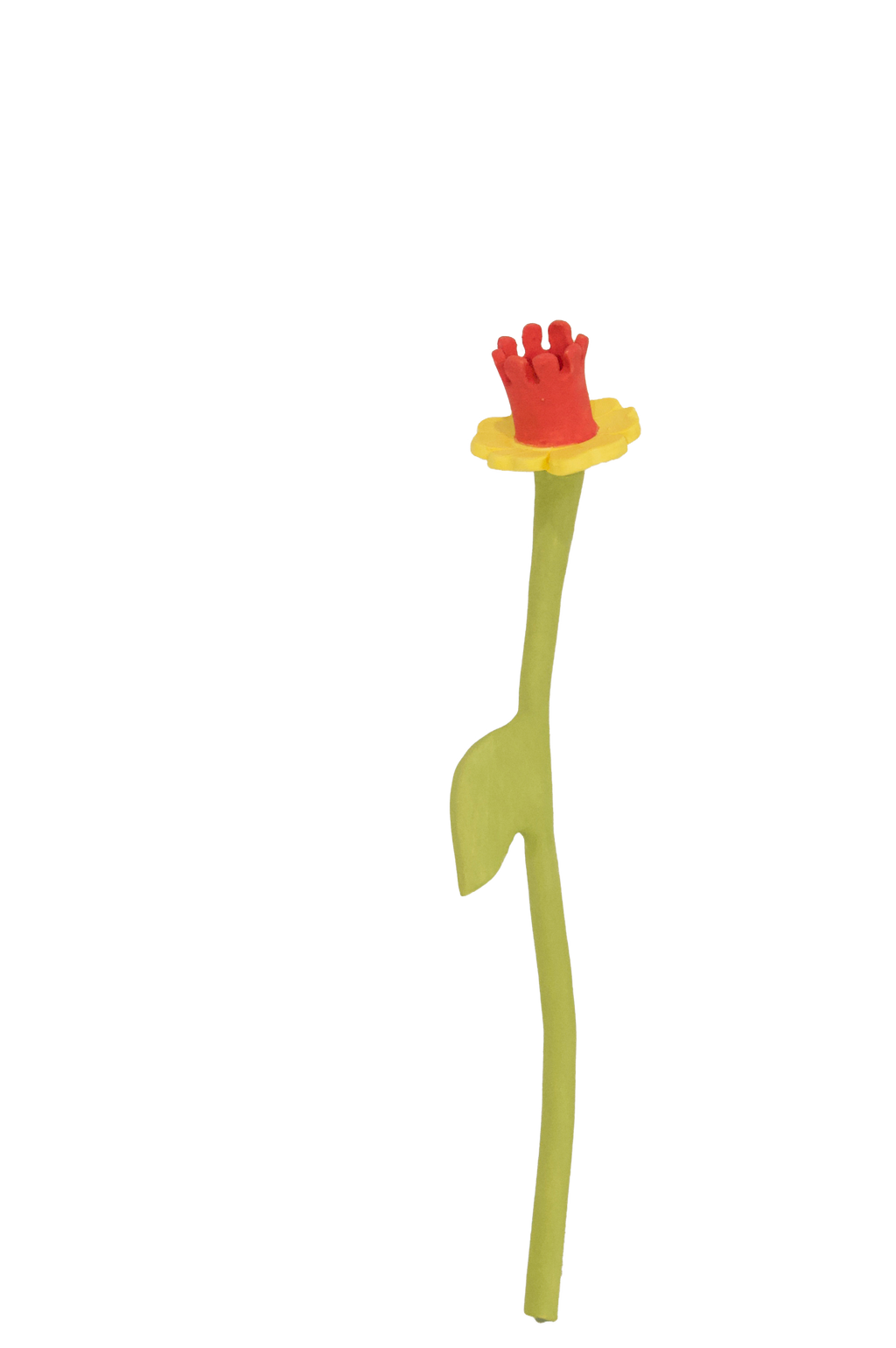 Daffodil Flower Stem