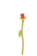 Daffodil Flower Stem