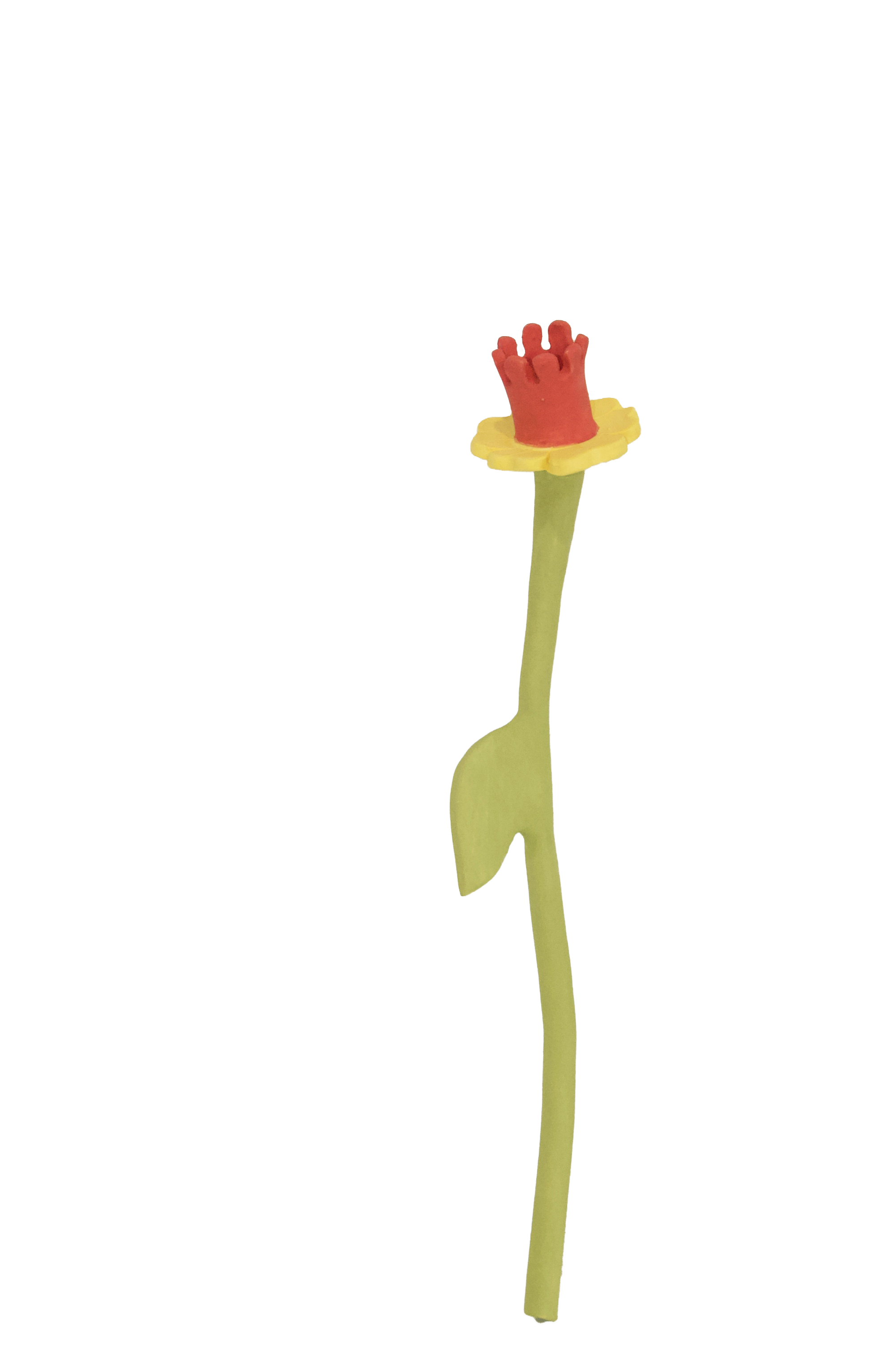 Daffodil Flower Stem