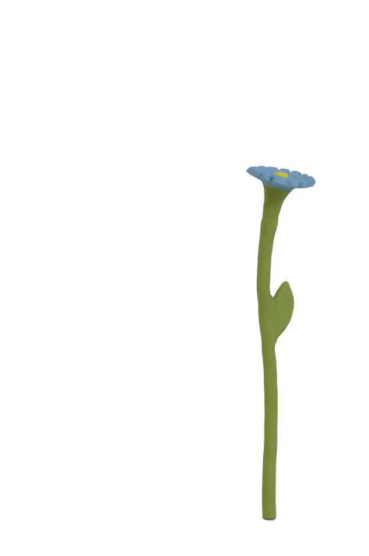 Daisy Flower