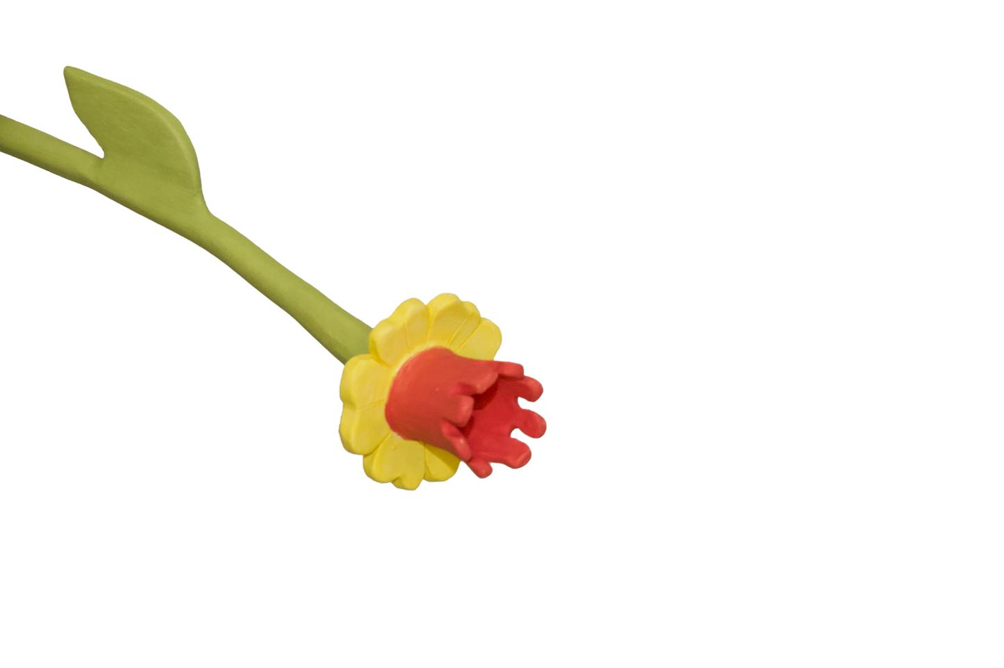 Daffodil Flower Stem