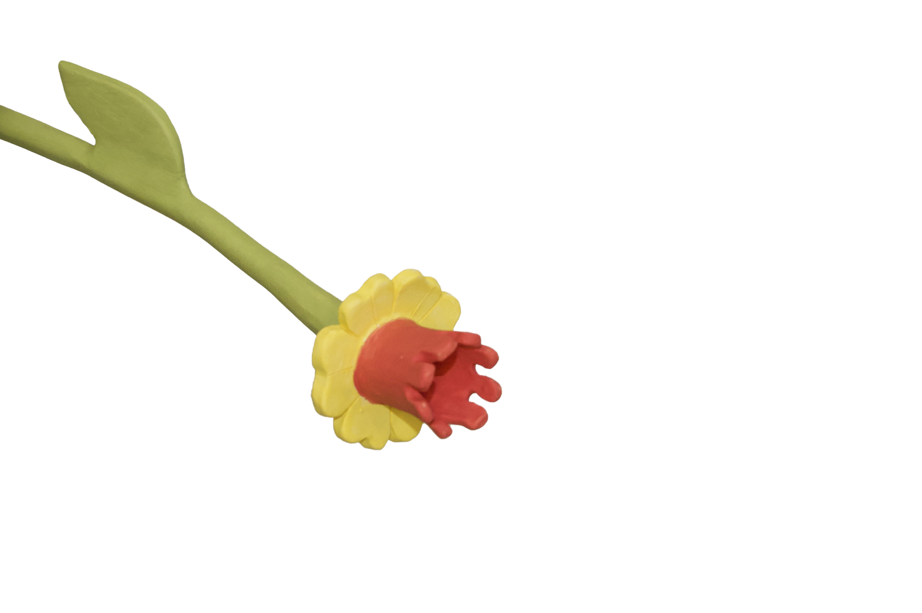 Daffodil Flower Stem