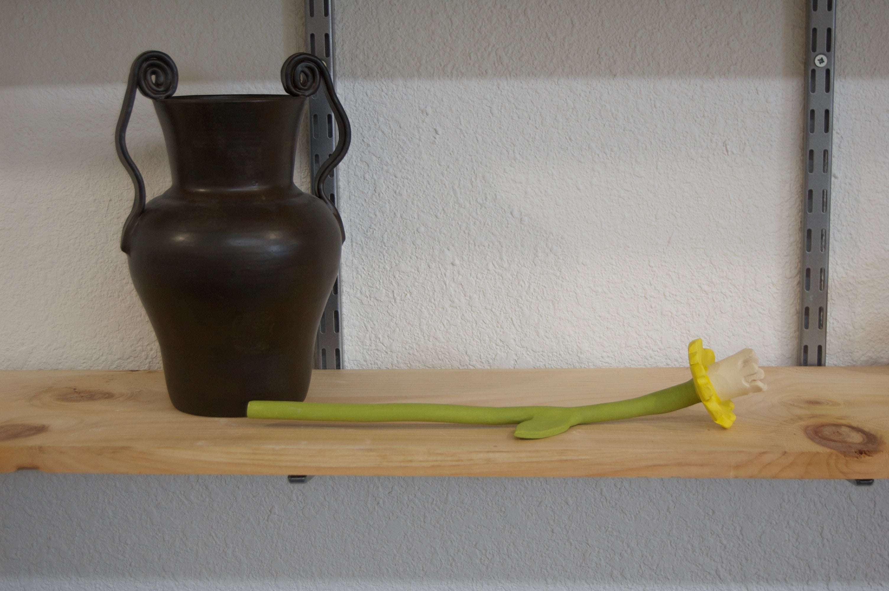 Daffodil Flower Stem